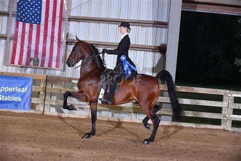 oshkosh charity horse show 2024 schedule|THE MORGAN MASTERPIECE .